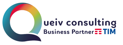 Queiv Consulting